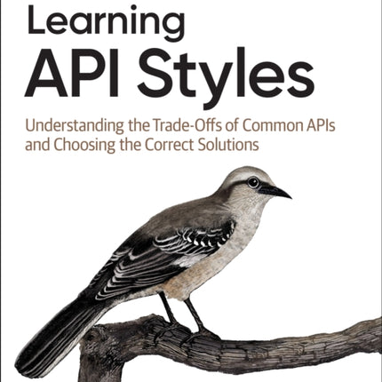 Learning API Styles