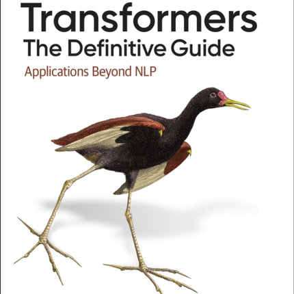 Transformers The Definitive Guide