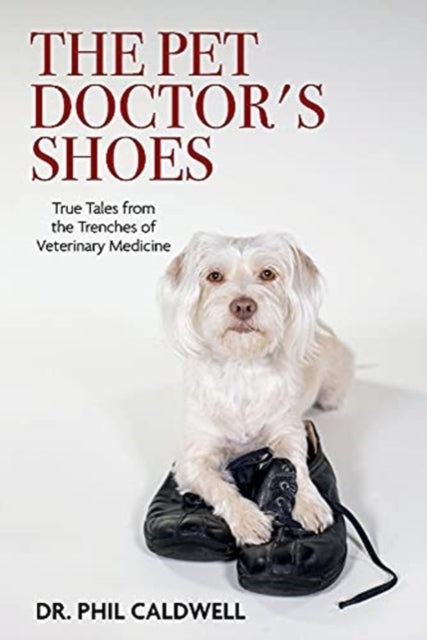 The Pet Doctors Shoes