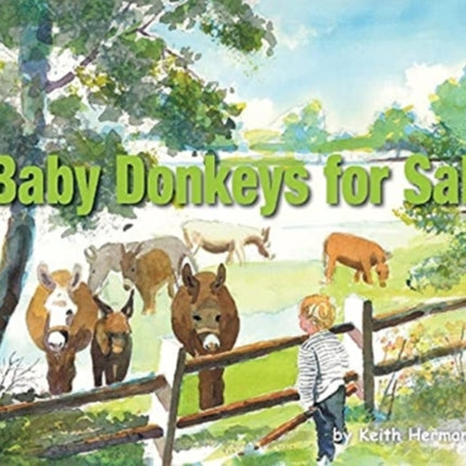 Baby Donkeys for Sale