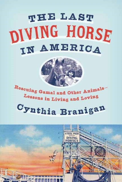 The Last Diving Horse in America: Rescuing Gamal and Other Animals--Lessons in Living and Loving