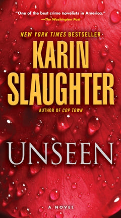 Unseen: A Novel