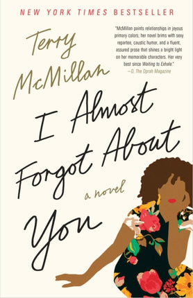 I Almost Forgot About You: A Novel