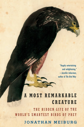 A Most Remarkable Creature: The Hidden Life of the World's Smartest Birds of Prey