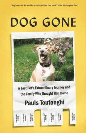 Dog Gone A Lost Pets Extraordinary Journey and