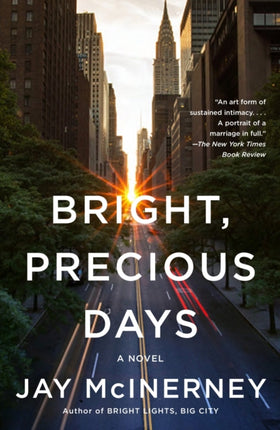 Bright, Precious Days: A Novel