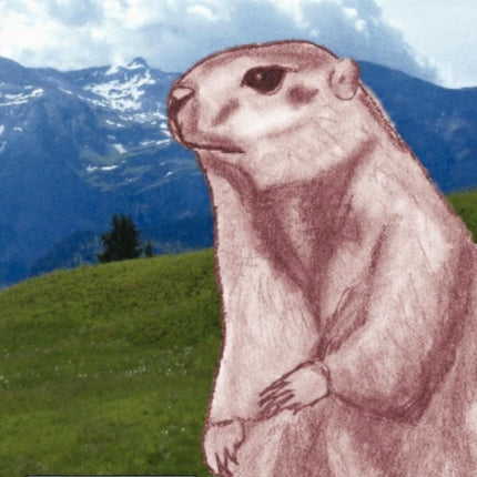 The Marmots of Lenk and the long sleep