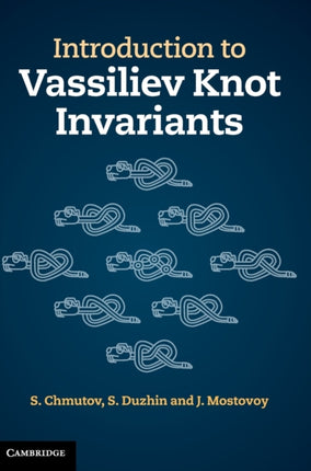 Introduction to Vassiliev Knot Invariants