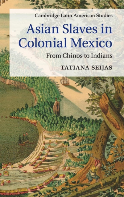 Asian Slaves in Colonial Mexico From Chinos to Indians 100 Cambridge Latin American Studies Series Number 100