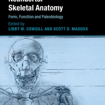 Neandertal Skeletal Anatomy