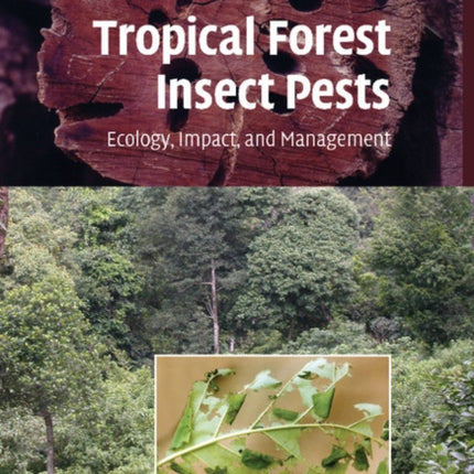 Tropical Forest Insect Pests Ecology Impact and Management