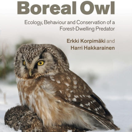 The Boreal Owl