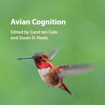 Avian Cognition
