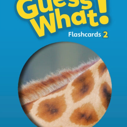 Guess What Level 2 Flashcards pack of 91 British English