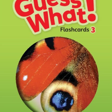 Guess What Level 3 Flashcards pack of 75 British English