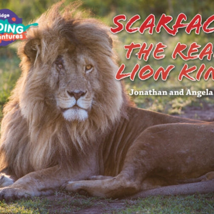 Cambridge Reading Adventures Scarface: The Real Lion King Gold Band