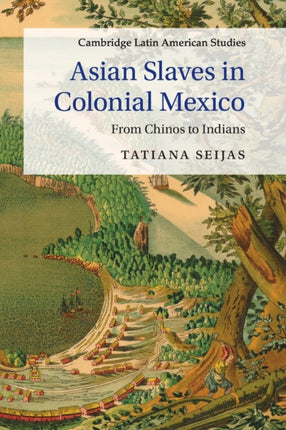 Asian Slaves in Colonial Mexico From Chinos to Indians 100 Cambridge Latin American Studies Series Number 100