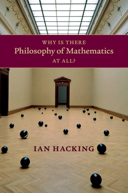 Why Is There Philosophy of Mathematics At All