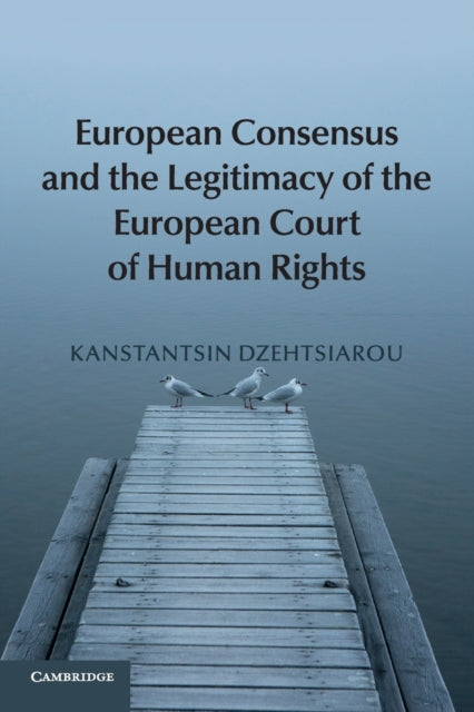 European Consensus and the Legitimacy of the