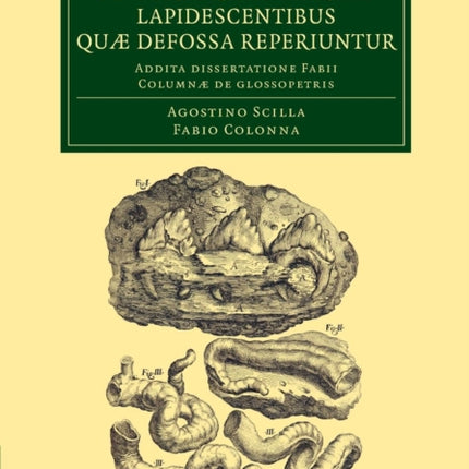 De corporibus marinis lapidescentibus quæ defossa             reperiuntur