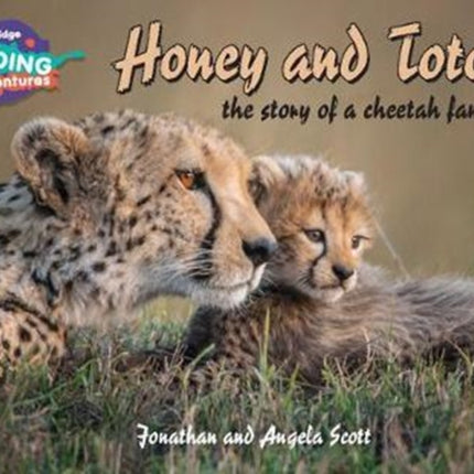 Cambridge Reading Adventures Honey and Toto: The Story of a Cheetah Family 1 Pathfinders