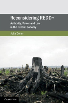Reconsidering REDD