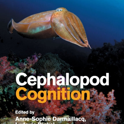 Cephalopod Cognition