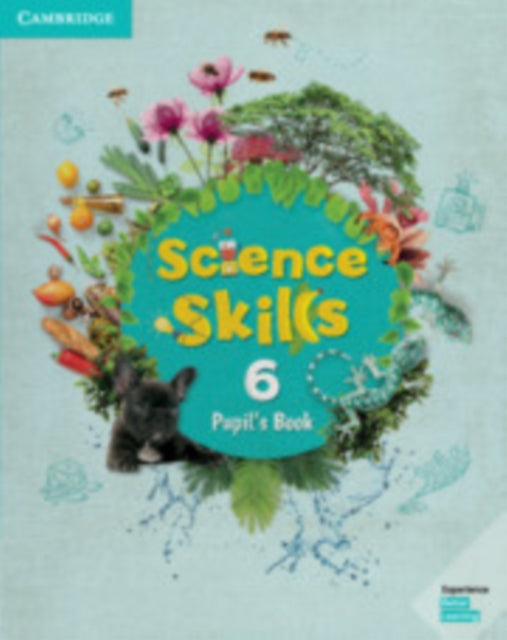 Science Skills Level 6 Pupils Book