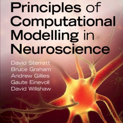 Principles of Computational Modelling in Neuroscience