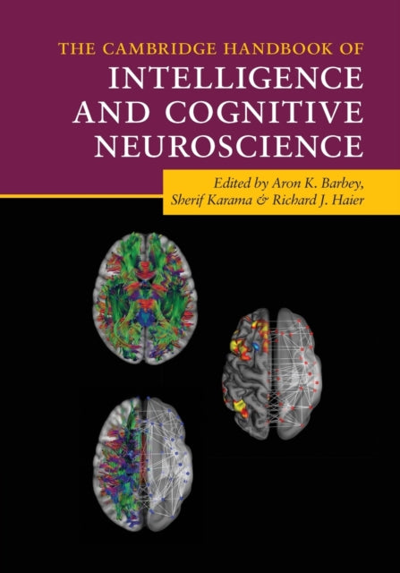 The Cambridge Handbook of Intelligence and
