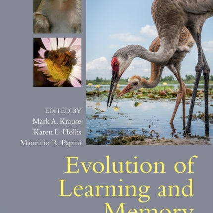 Evolution of Learning and Memory Mechanisms