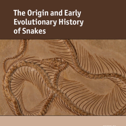 The Origin and Early Evolutionary History of