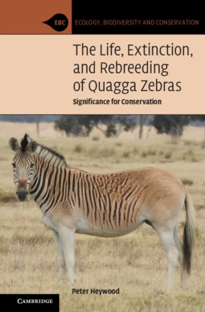 The Life Extinction and Rebreeding of Quagga