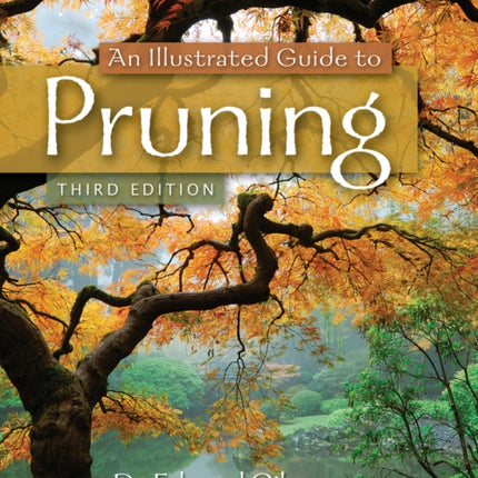 An Illustrated Guide to Pruning