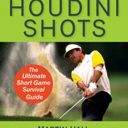 Houdini Shots