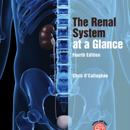 The Renal System at a Glance