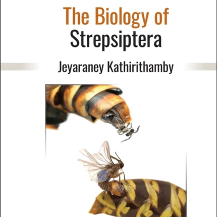 Insect from Outer Space The Biology of Strepsipte