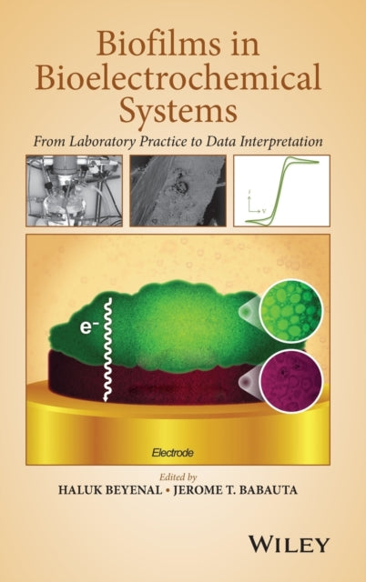 Biofilms in Bioelectrochemical Systems: From Laboratory Practice to Data Interpretation