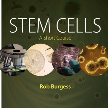 Stem Cells