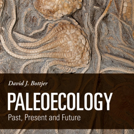 Paleoecology: Past, Present and Future