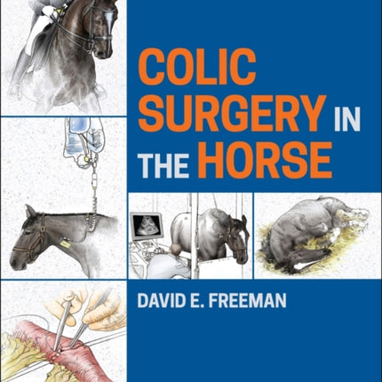 Colic Surgery in the Horse