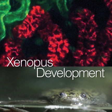Xenopus Development