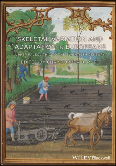 Skeletal Variation and Adaptation in Europeans: Upper Paleolithic to the Twentieth Century