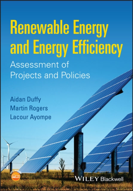 Renewable Energy and Energy Efficiency: Assessment of Projects and Policies