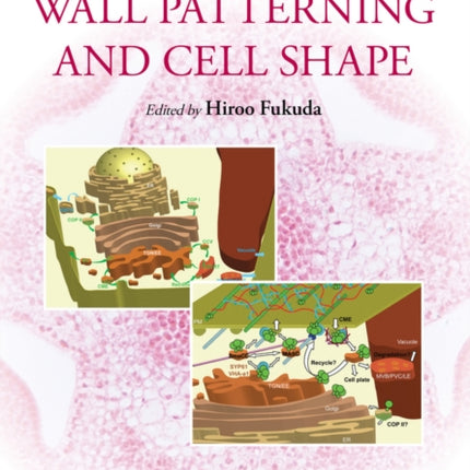 Plant Cell Wall Patterning and Cell Shape