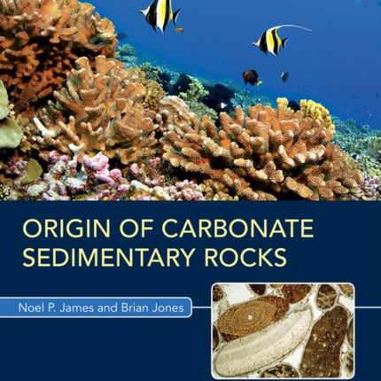 Origin of Carbonate Sedimentary Rocks