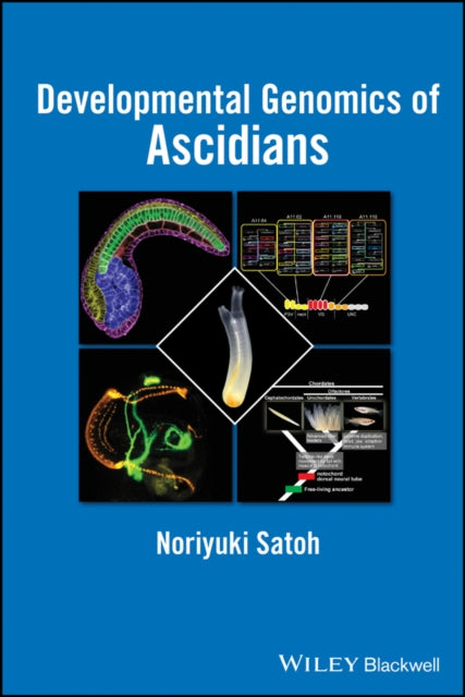 Developmental Genomics of Ascidians