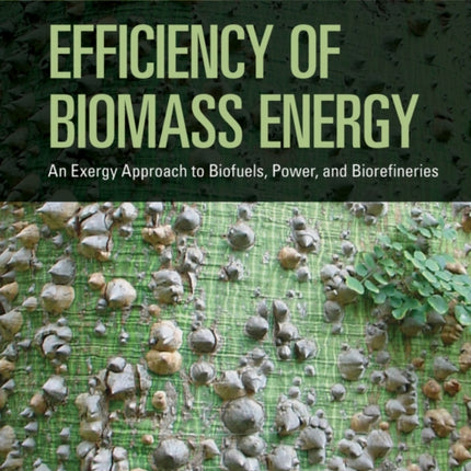 Efficiency of Biomass Energy