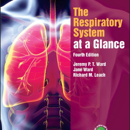 The Respiratory System at a Glance