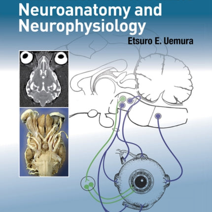 Fundamentals of Canine Neuroanatomy and Neurophysiology